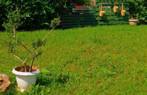 App Palčić K - Photo 55