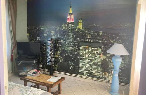 Appartement T2 lumineux CHU Stade Gaston Gérard 2 nuits minimum - Foto 17