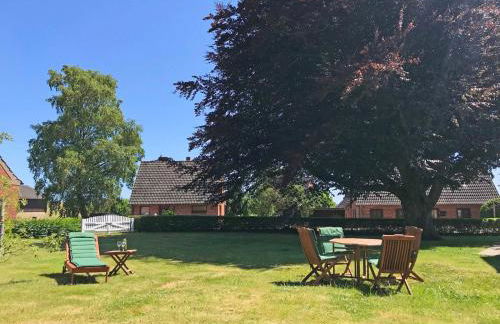 Schleimuschel - Photo 4