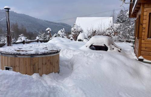 Przystanek Beskidy - Foto 52