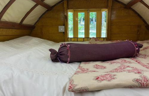 2 Guests - Pet Friendly - Traditional Gypsy Vardo - Foto 13