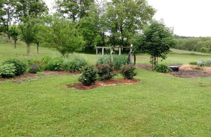 Country Diamond - Foto 7