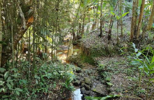 Refúgio Mata Atlântica, Riacho, Piscina, Natureza - Foto 50