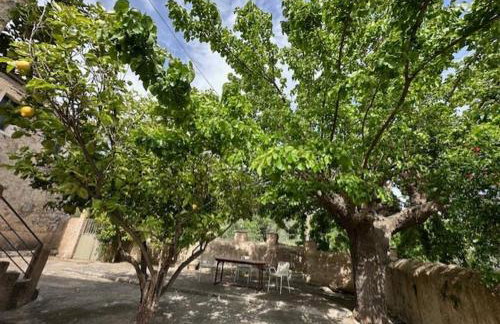 Πυργοσπιτο Χαντζακου - Foto 28