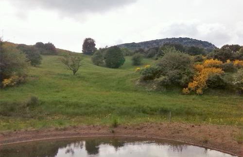 Agriturismo La Guinza - Pool & Relax - Foto 68