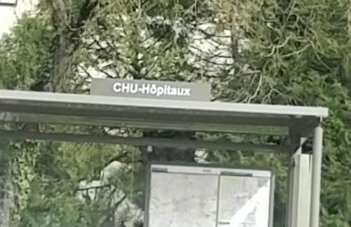 BEAUREGARD - Foto 19