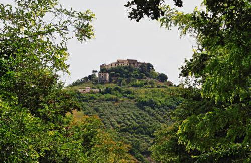 Mare Adriatico-Il Passetto - Foto 39