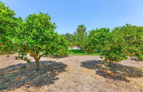 Finca Can Miro - Foto 20