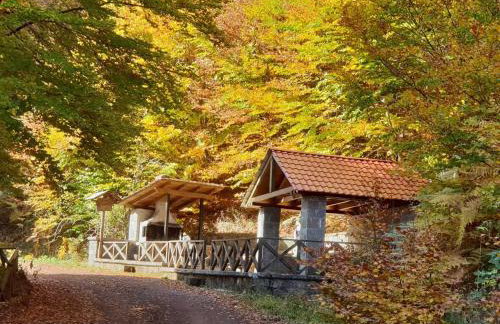 Pallas Casa - Photo 45