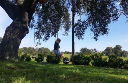 Herdade Reguenguinho - Foto 15