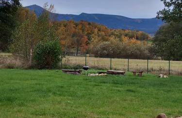 Dolina Sosny - Foto 15