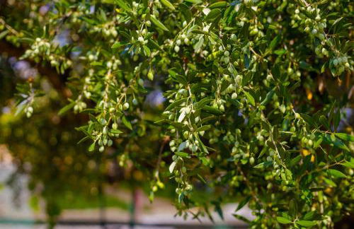 Alethea's Sea View Apartment - Foto 76