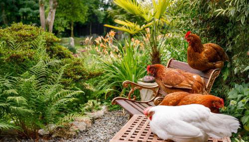 Ash Cottage - Foto 2