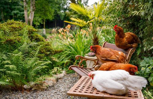 Ash Cottage - Foto 2