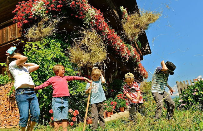 Chalet in Reith Near Ski Juwel Alpbachtal - Foto 32