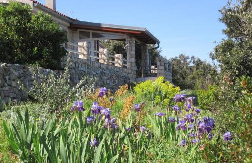 House Stivan (4239) - Foto 10