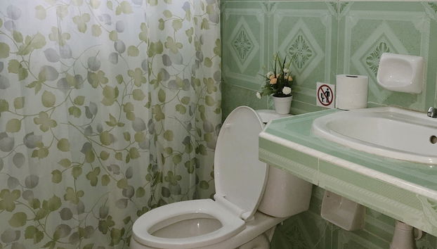 Holiday rental in Viñales with garden and terrace - Foto 4