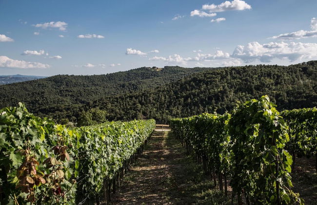 Casa Guaitoli - Foto 34