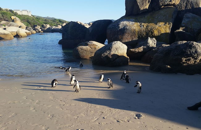 Seagetaway - Photo 19