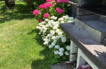 Verde House 2 - Foto 35