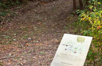 Agriturismo La Serra - Foto 57