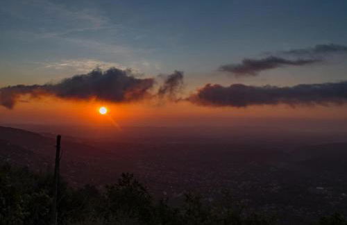 Domaine du Bois d'Amont - Foto 77