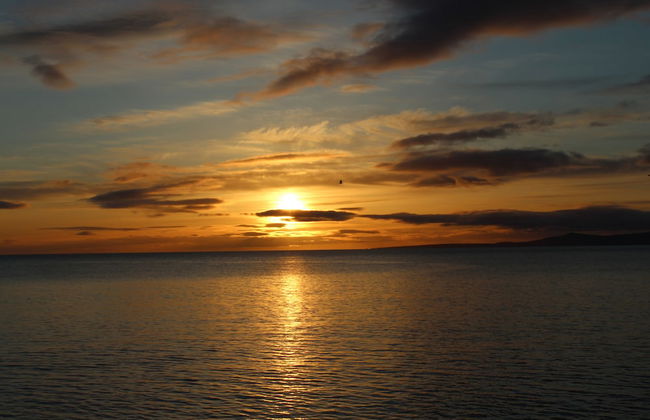 Beachfront Panoramic Seaview Free Wifi & Parking - Photo 21