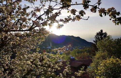 Babel´s Auszeit - Foto 66