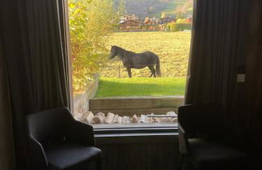 Chalet Esquinade 4 bedrooms appartment Megève - Foto 33