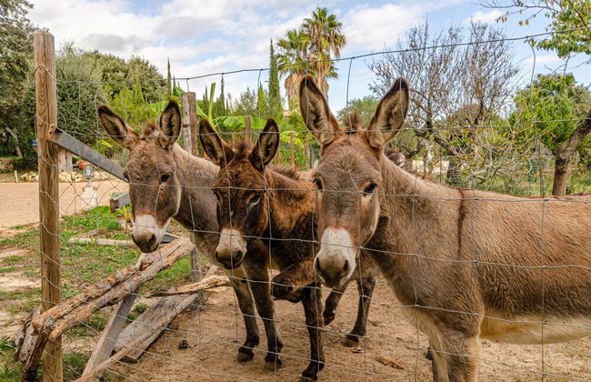 Villa in Serene Location - Photo 34