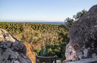 Love Garden - Foto 119