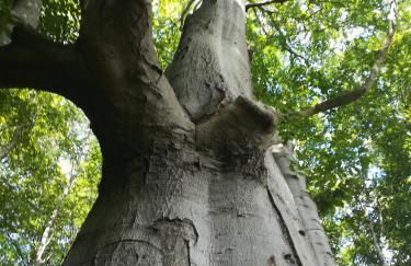 Sellin - Seedorf Am Neuensiener See Apartment 08 - Foto 47