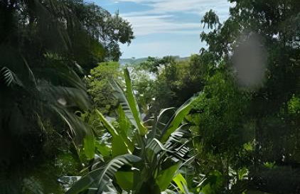 Beautiful View Villa: Sea and Forest - Photo 46
