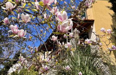 Donna Vittori - Borgo Agricolo - Foto 59