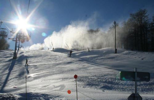 Résidence du Château Lublin - Photo 15