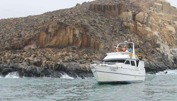 Iate nas Ilhas Palomino