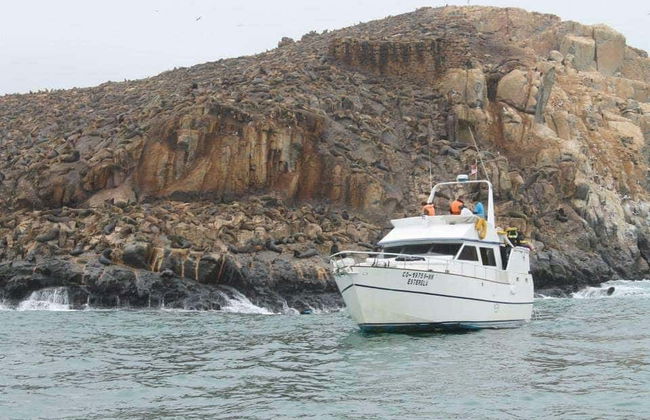 Palomino Islands Boat Trip - Foto 1
