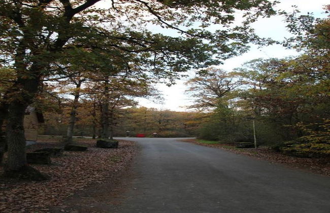 Water Mill With Swimming Pool and Sauna - Foto 40