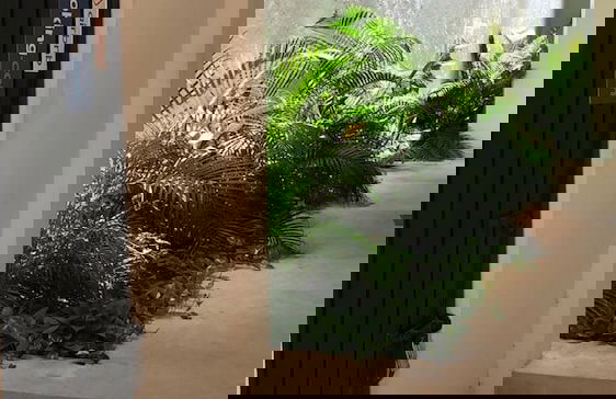 Downtown Suites Cancun - Photo 18