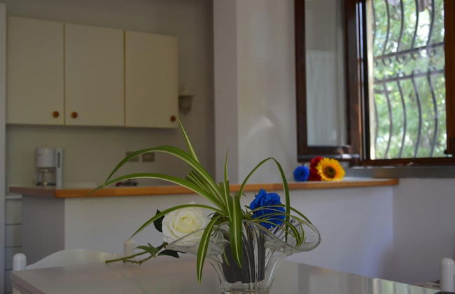 Podere San Lorenzo - Foto 18