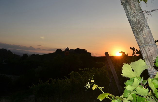 Agricola Lanciani - Foto 22