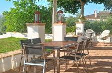 Finca Olivo Llorón - Foto 10