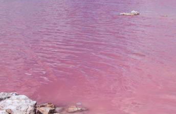 Casa Vikingo - Foto 25