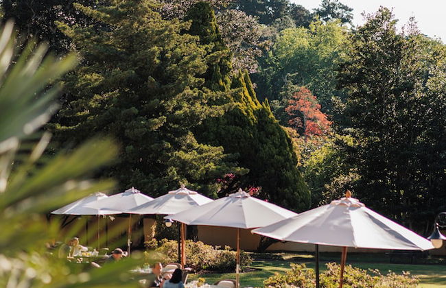 Casa Velha do Palheiro, Relais & Chateaux - Foto 46