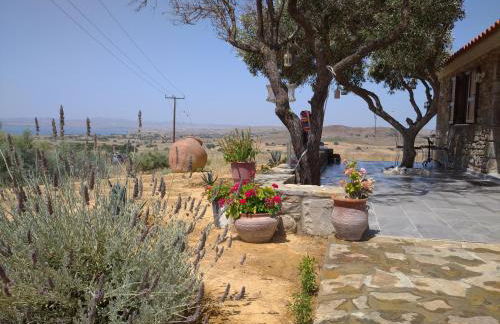 Paliokaliva Home - Foto 11