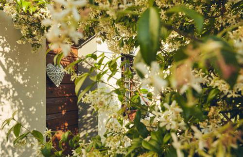 Il Casale di Santamettole - Foto 12