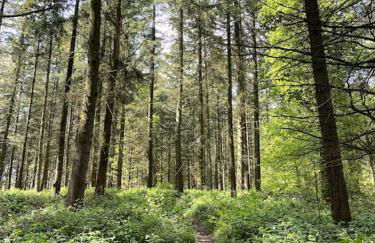 Guest suite in Checkendon - Photo 10