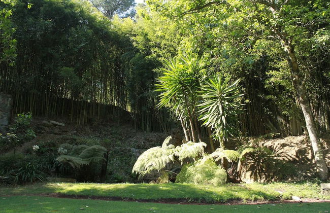 Country House In The Woods With River - Foto 33