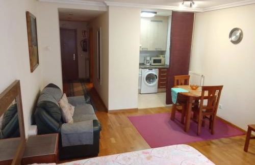 APARTAMENTOs OVIEDO PARAISO 2 - Foto 8