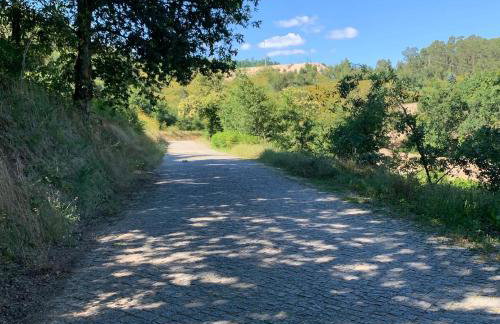 Quinta de Santa Ana, em Vizela - Foto 69